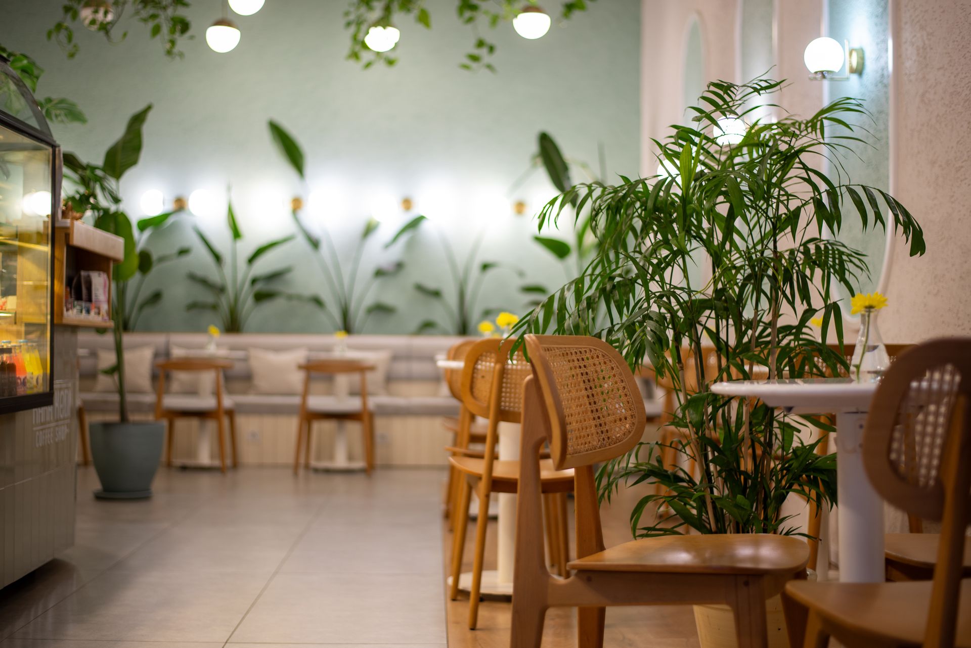 A bright cafe with rattan chairs, white walls and leafy plants
